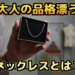 <span class="title">無地の洋服に映えるワンポイントネックレス｜たくぞーブランドの本音レビューまとめ</span>