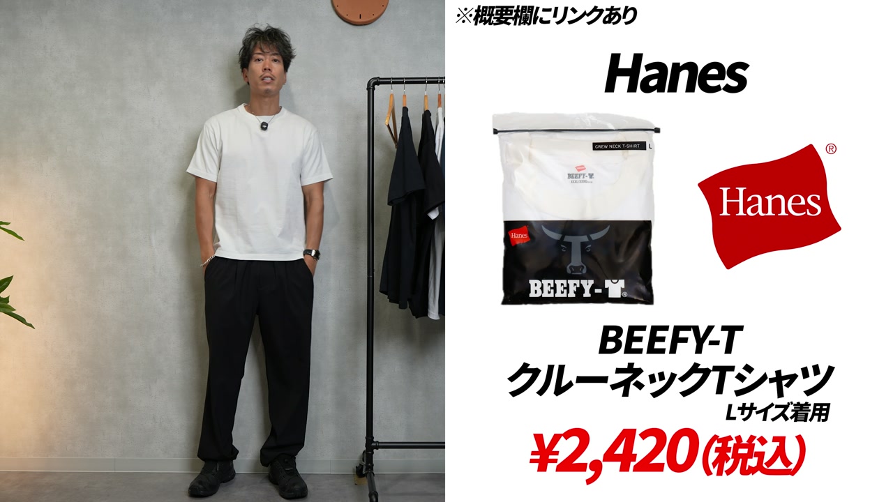 ヘインズ BEEFY-T Lサイズ着用カット（白・黒）