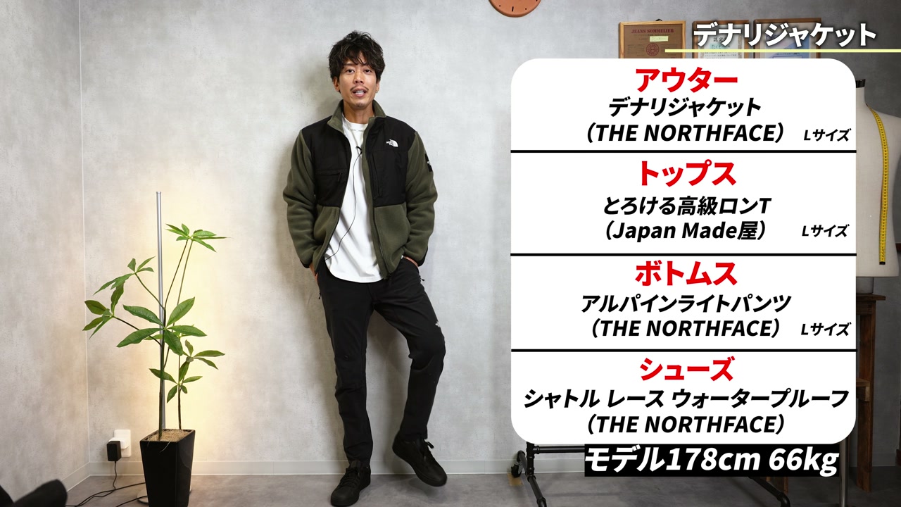 ノースフェイス デナリジャケット×アルパインライトパンツ×防水スニーカーのノースフェイサーコーデ全身